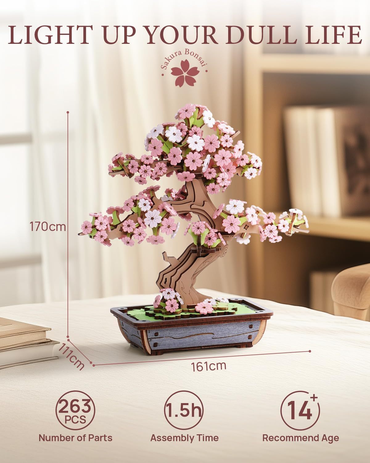 cherry wooden bonsai measurements