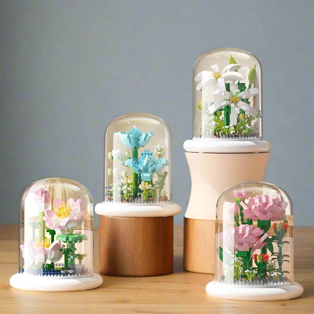 The Dome Collection