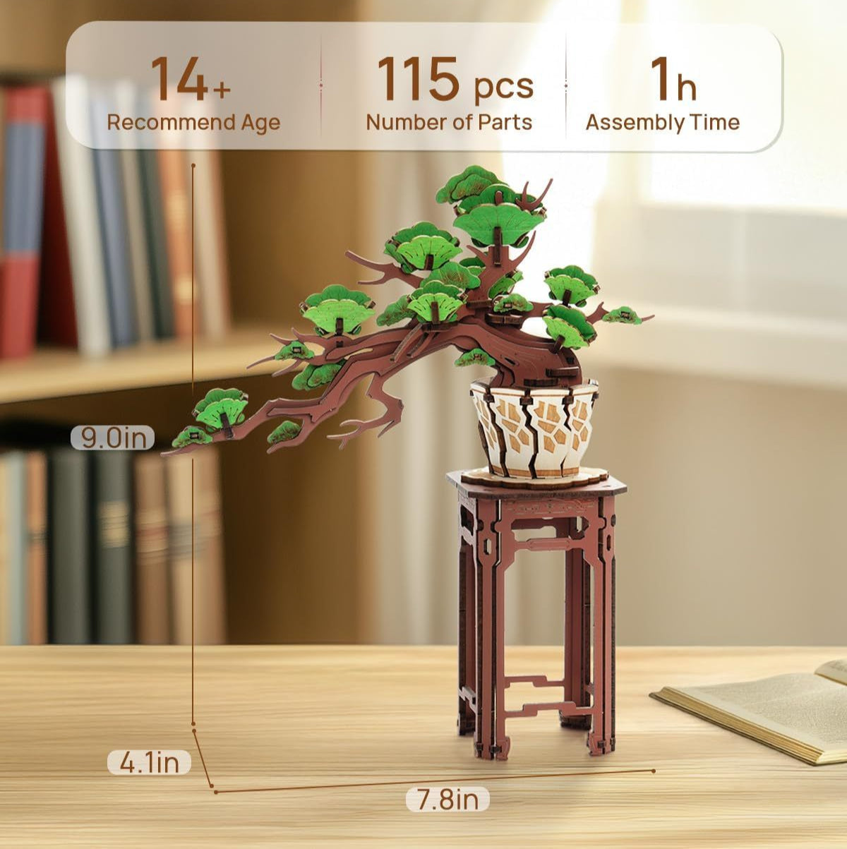 Wooden bonsai gift measurements